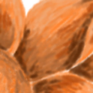 Meet your Posher, Terry